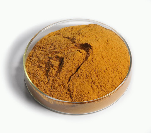 وجبة غلوتين الذرة خالية من الكائنات المعدلة وراثيا