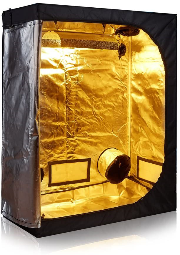 تنمو الخيام في الأماكن المغلقة