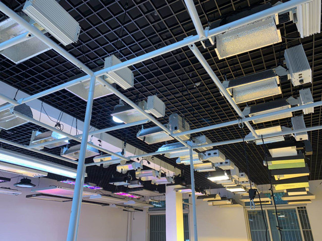 ضوء البستنة