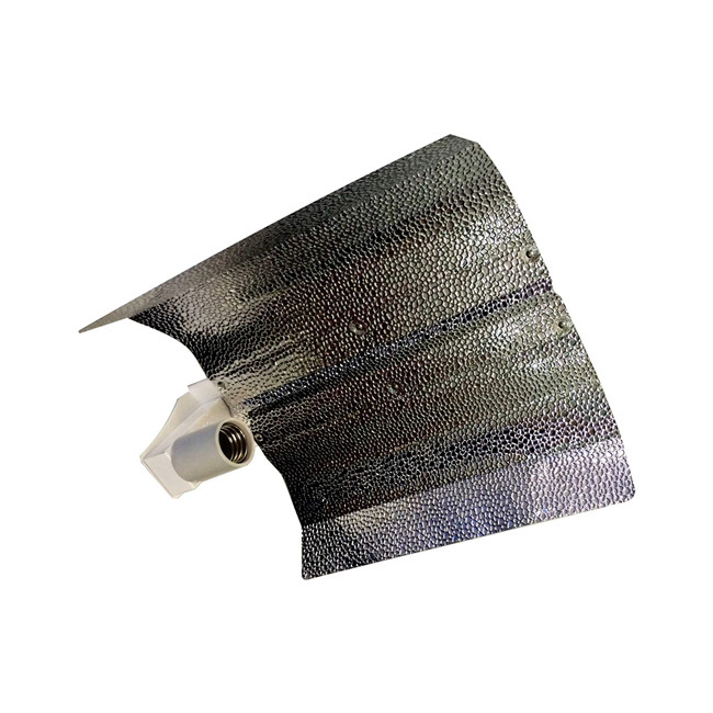 T5 تنمو الاضواء